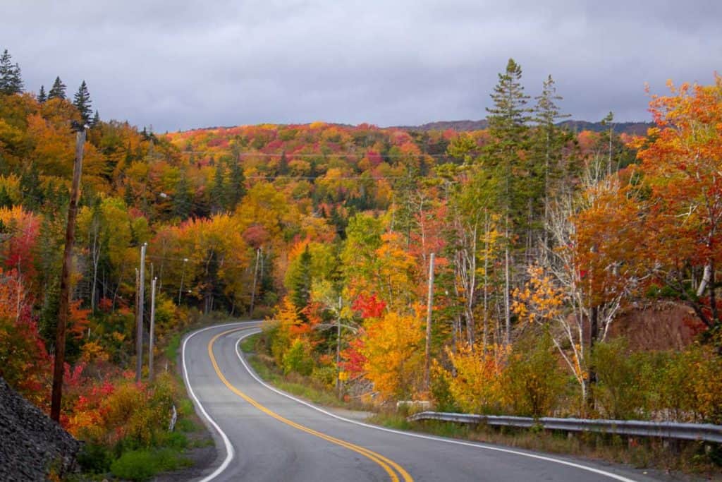 best tours in Cape Breton - the Cabot Trail