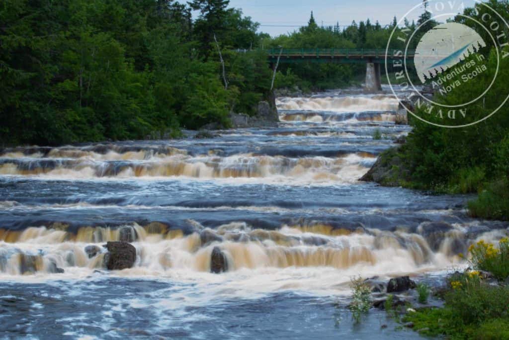 best places for forest bathing in Nova Scotia - West River Falls trail & Eagle Bridge