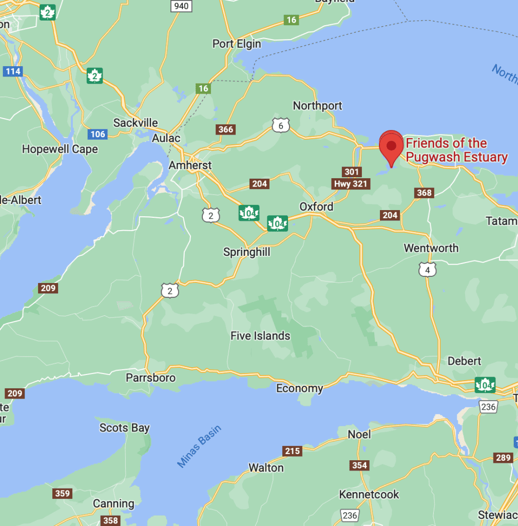 best places for forest bathing in Nova Scotia - The Pugwash Estuary